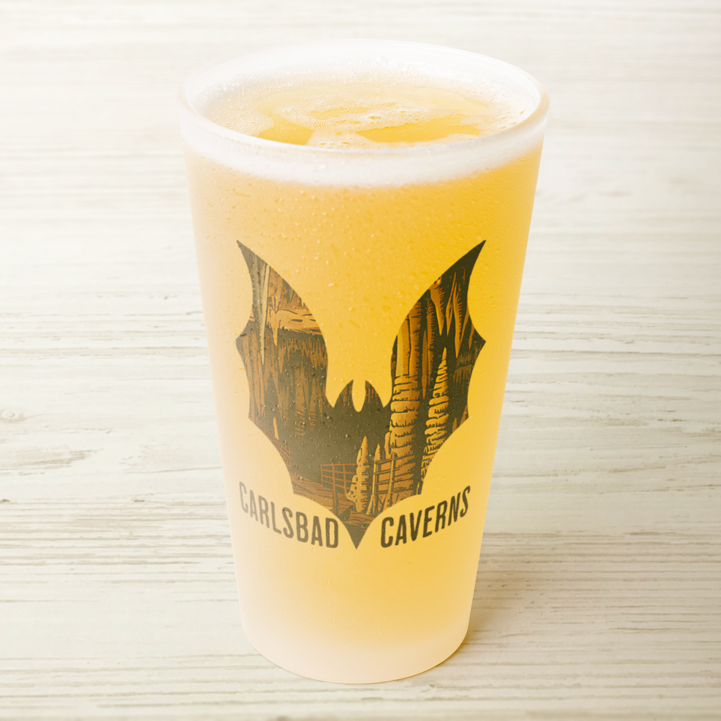 Carlsbad Caverns National Park Bat Frosted Mug