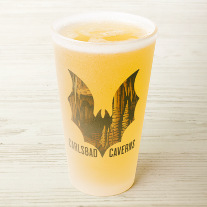 Carlsbad Caverns National Park Bat Frosted Mug