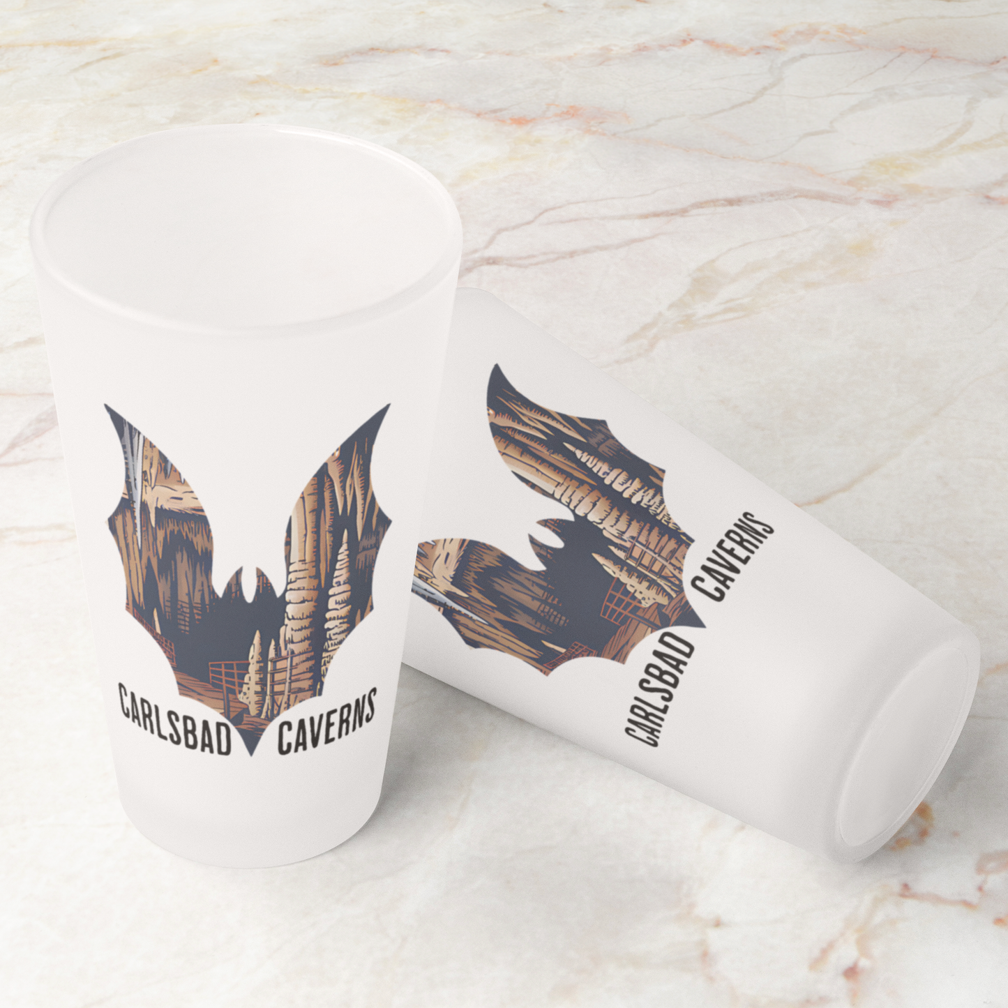 Carlsbad Caverns National Park Bat Frosted Mug