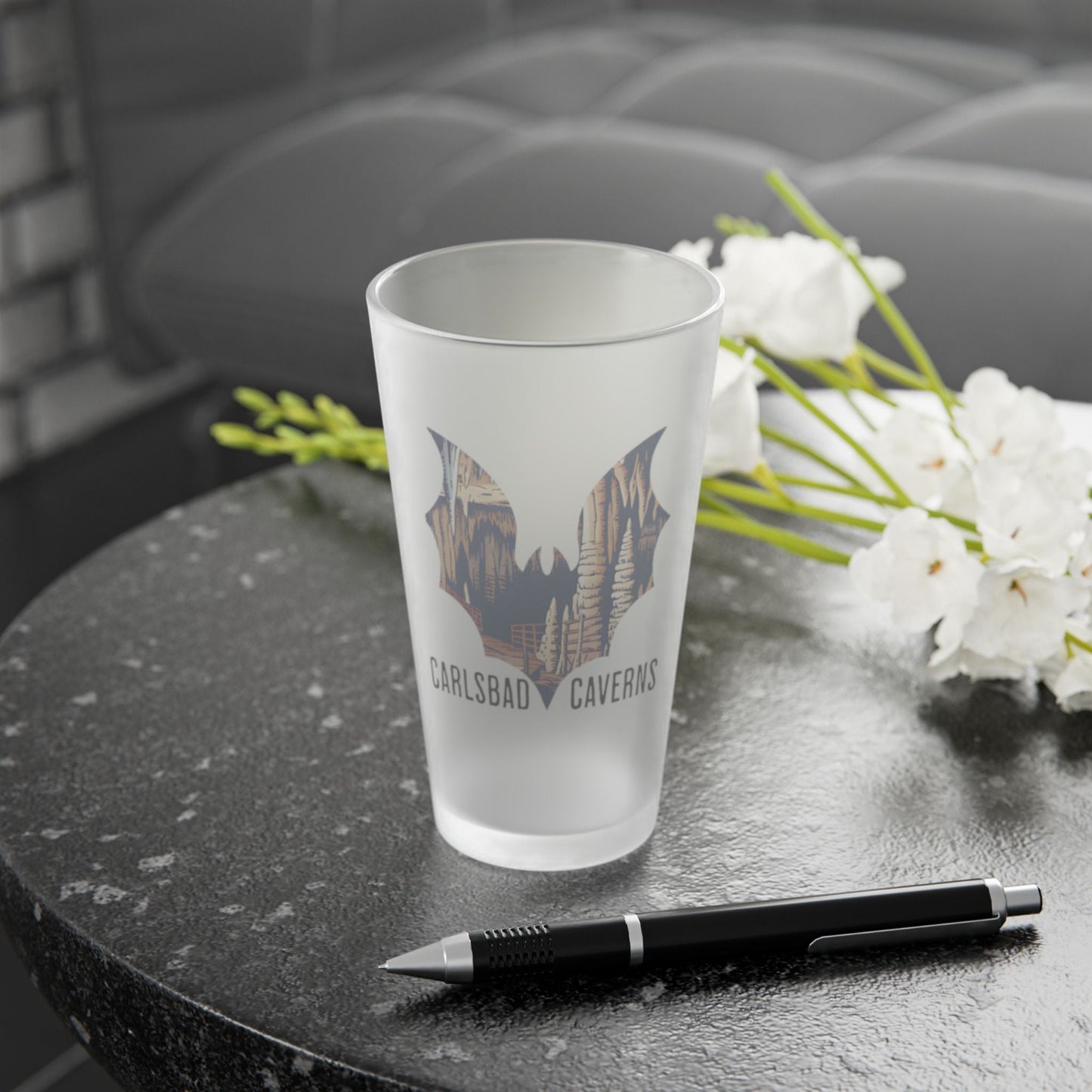 Carlsbad Caverns National Park Bat Frosted Mug