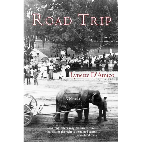 Road Trip - Paperback